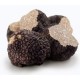 Truffels en Paddestoel